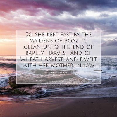 Picture 07 - Ruth 2:23 KJV - So she kept fast by the maidens of Boaz to glean - Bible Verse Picture