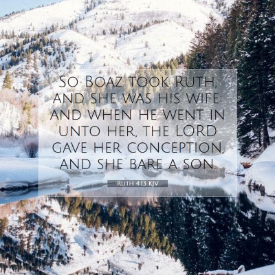 Picture 07 - Ruth 4:13 KJV - So Boaz took Ruth, and she was his wife: and when - Bible Verse Picture