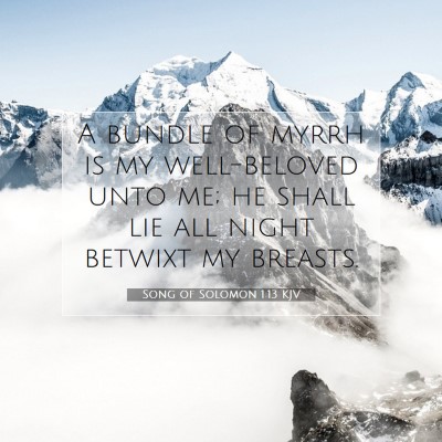 Picture 07 - Song of Solomon 1:13 KJV - A bundle of myrrh is my well-beloved unto me; he - Bible Verse Picture