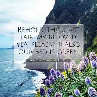 Picture 07 - Song of Solomon 1:16 KJV - Behold, thou art fair, my beloved, yea, pleasant: - Bible Verse Picture