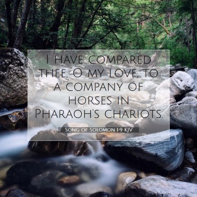 Picture 07 - Song of Solomon 1:9 KJV - I have compared thee, O my love, to a company of - Bible Verse Picture