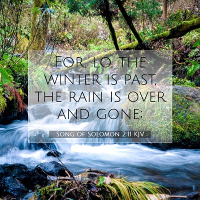 Picture 07 - Song of Solomon 2:11 KJV - For, lo, the winter is past, the rain is over and - Bible Verse Picture