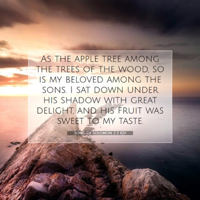 Picture 07 - Song of Solomon 2:3 KJV - As the apple tree among the trees of the wood, so - Bible Verse Picture