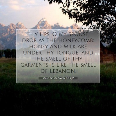 Picture 07 - Song of Solomon 4:11 KJV - Thy lips, O my spouse, drop as the honeycomb: - Bible Verse Picture
