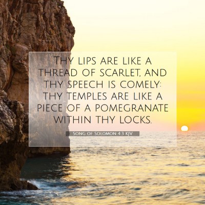 Picture 07 - Song of Solomon 4:3 KJV - Thy lips are like a thread of scarlet, and thy - Bible Verse Picture