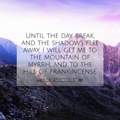 Picture 07 - Song of Solomon 4:6 KJV - Until the day break, and the shadows flee away, I - Bible Verse Picture