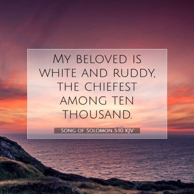 Picture 07 - Song of Solomon 5:10 KJV - My beloved is white and ruddy, the chiefest among - Bible Verse Picture