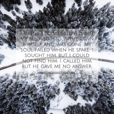 Picture 07 - Song of Solomon 5:6 KJV - I opened to my beloved; but my beloved had - Bible Verse Picture