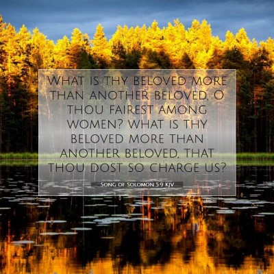 Picture 07 - Song of Solomon 5:9 KJV - What is thy beloved more than another beloved, O - Bible Verse Picture
