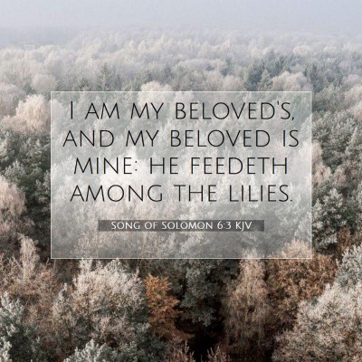 Picture 07 - Song of Solomon 6:3 KJV - I am my beloved's, and my beloved is mine: he - Bible Verse Picture