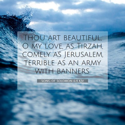 Picture 07 - Song of Solomon 6:4 KJV - Thou art beautiful, O my love, as Tirzah, comely - Bible Verse Picture