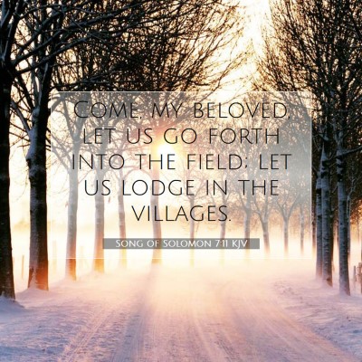 Picture 07 - Song of Solomon 7:11 KJV - Come, my beloved, let us go forth into the field; - Bible Verse Picture