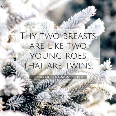 Picture 07 - Song of Solomon 7:3 KJV - Thy two breasts are like two young roes that are - Bible Verse Picture