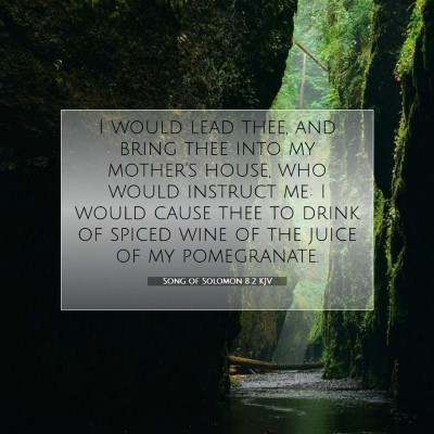Picture 07 - Song of Solomon 8:2 KJV - I would lead thee, and bring thee into my - Bible Verse Picture