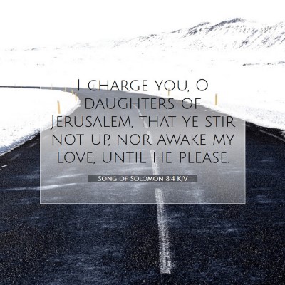 Picture 07 - Song of Solomon 8:4 KJV - I charge you, O daughters of Jerusalem, that ye - Bible Verse Picture