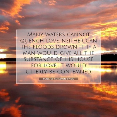 Picture 07 - Song of Solomon 8:7 KJV - Many waters cannot quench love, neither can the - Bible Verse Picture
