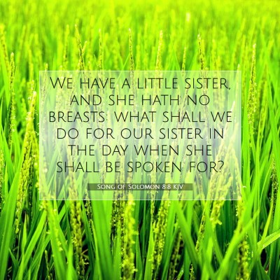 Picture 07 - Song of Solomon 8:8 KJV - We have a little sister, and she hath no breasts: - Bible Verse Picture