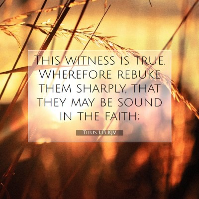 Picture 07 - Titus 1:13 KJV - This witness is true. Wherefore rebuke them - Bible Verse Picture