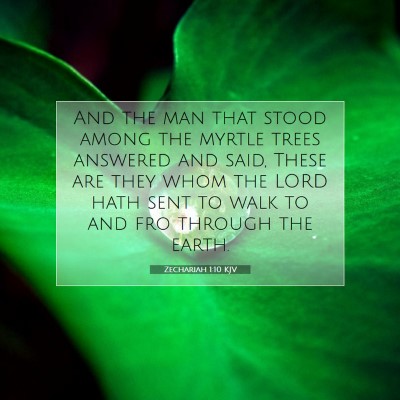 Picture 07 - Zechariah 1:10 KJV - And the man that stood among the myrtle trees - Bible Verse Picture