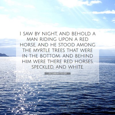 Picture 07 - Zechariah 1:8 KJV - I saw by night, and behold a man riding upon a - Bible Verse Picture