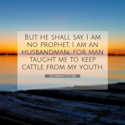 Picture 07 - Zechariah 13:5 KJV - But he shall say, I am no prophet, I am an - Bible Verse Picture