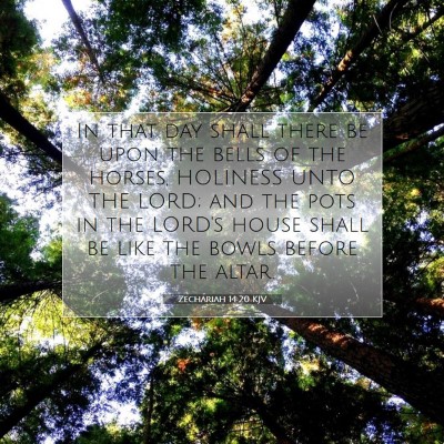 Picture 07 - Zechariah 14:20 KJV - In that day shall there be upon the bells of the - Bible Verse Picture