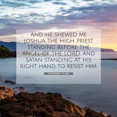 Picture 07 - Zechariah 3:1 KJV - And he shewed me Joshua the high priest standing - Bible Verse Picture