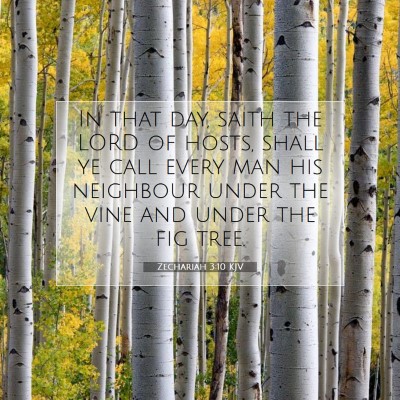Picture 07 - Zechariah 3:10 KJV - In that day, saith the LORD of hosts, shall ye - Bible Verse Picture