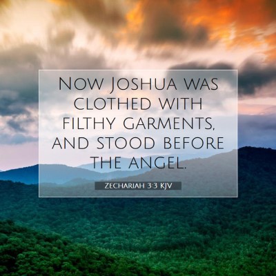 Picture 07 - Zechariah 3:3 KJV - Now Joshua was clothed with filthy garments, and - Bible Verse Picture
