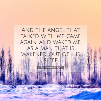 Picture 07 - Zechariah 4:1 KJV - And the angel that talked with me came again, and - Bible Verse Picture