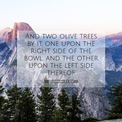 Picture 07 - Zechariah 4:3 KJV - And two olive trees by it, one upon the right - Bible Verse Picture