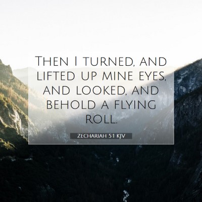Picture 07 - Zechariah 5:1 KJV - Then I turned, and lifted up mine eyes, and - Bible Verse Picture