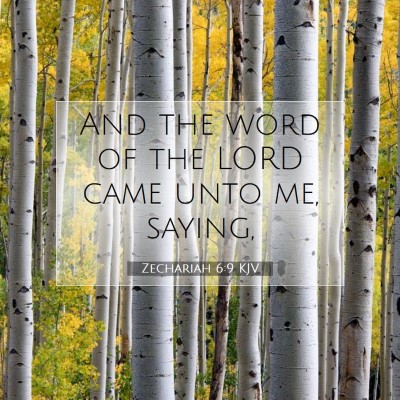 Picture 07 - Zechariah 6:9 KJV - And the word of the LORD came unto me, - Bible Verse Picture