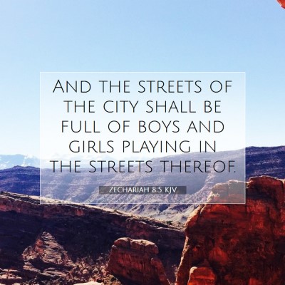 Picture 07 - Zechariah 8:5 KJV - And the streets of the city shall be full of boys - Bible Verse Picture