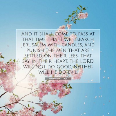 Picture 07 - Zephaniah 1:12 KJV - And it shall come to pass at that time, that I - Bible Verse Picture