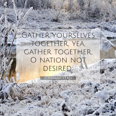 Picture 07 - Zephaniah 2:1 KJV - Gather yourselves together, yea, gather together, - Bible Verse Picture