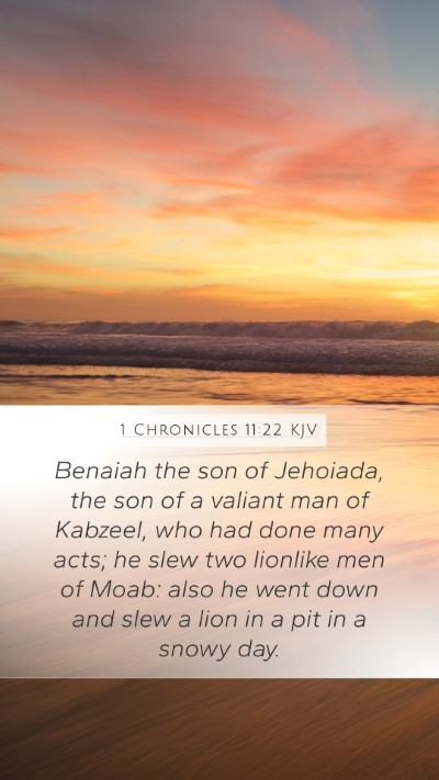 1 Chronicles 11:22 KJV Bible Verse Image