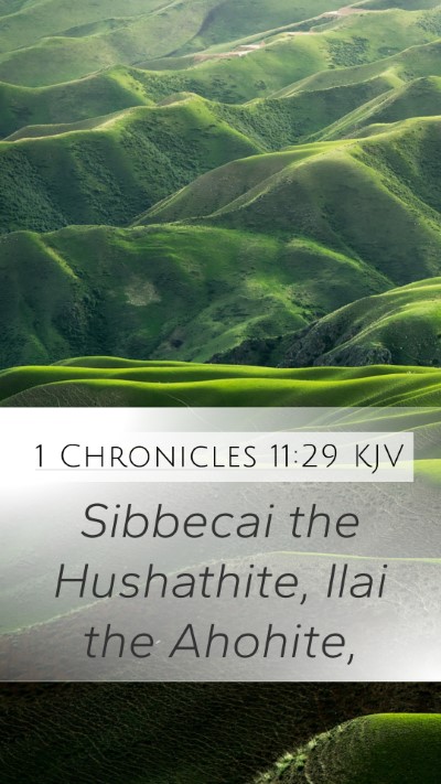 1 Chronicles 11:29 KJV Bible Verse Image