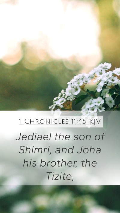1 Chronicles 11:45 KJV Mobile Phone Wallpaper - Jediael the son of Shimri, and Joha his brother, - Mobile Bible Verse Wallpaper