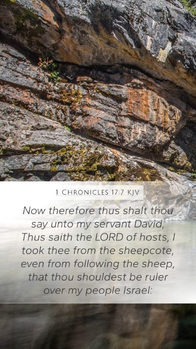 1 Chronicles 17:7 KJV Bible Verse Image
