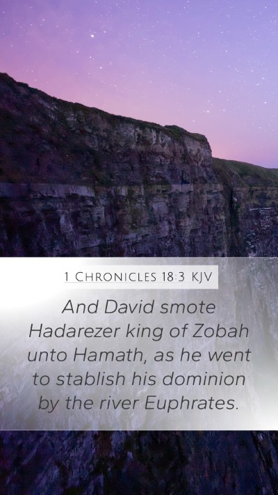 1 Chronicles 18:3 KJV Bible Verse Image
