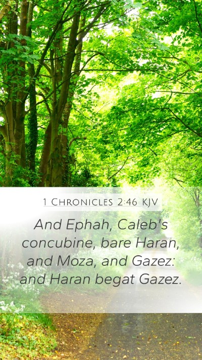 1 Chronicles 2:46 KJV Bible Verse Image