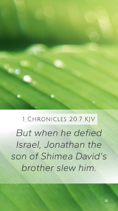 1 Chronicles 20:7 KJV Bible Verse Image
