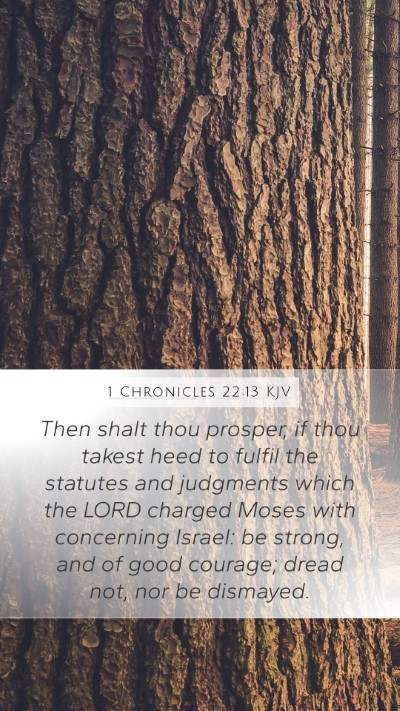 1 Chronicles 22:13 KJV Bible Verse Image