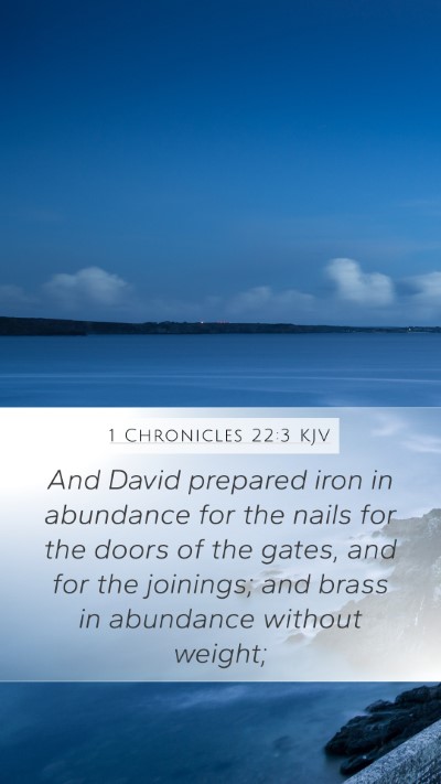 1 Chronicles 22:3 KJV Bible Verse Image