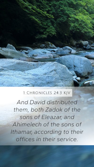 1 Chronicles 24:3 KJV Bible Verse Image