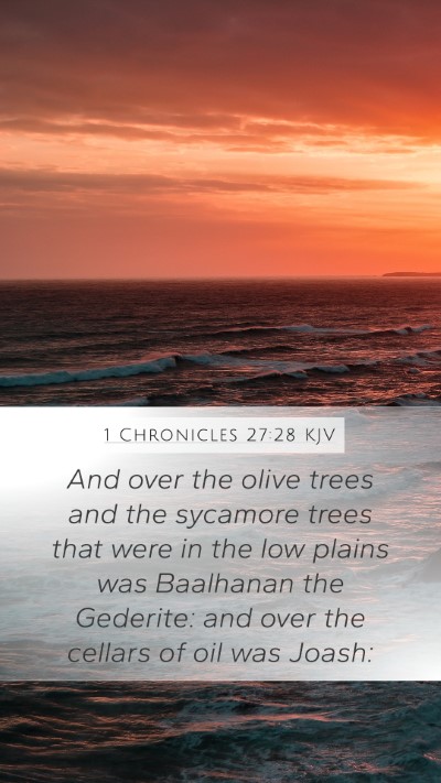 1 Chronicles 27:28 KJV Bible Verse Image