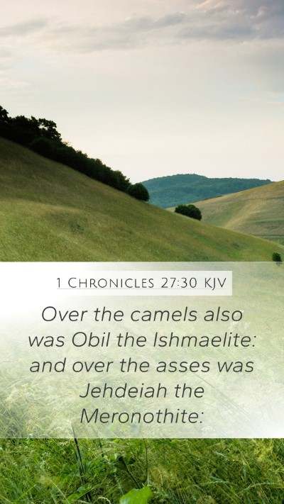 1 Chronicles 27:30 KJV Mobile Phone Wallpaper - Over the camels also was Obil the Ishmaelite: and - Mobile Bible Verse Wallpaper