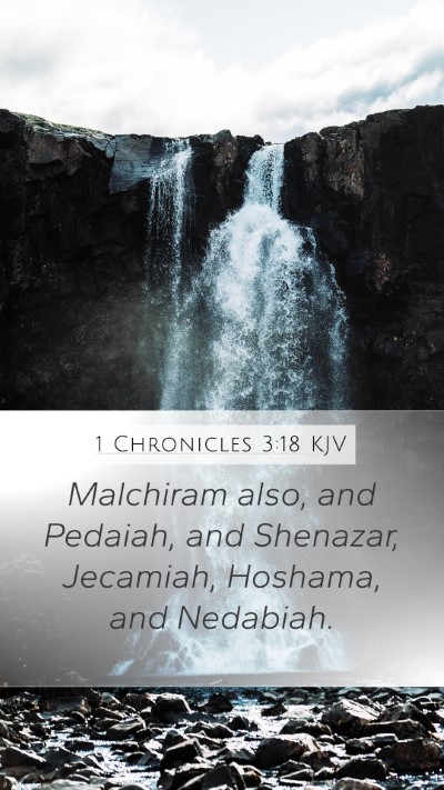1 Chronicles 3:18 KJV Bible Verse Image
