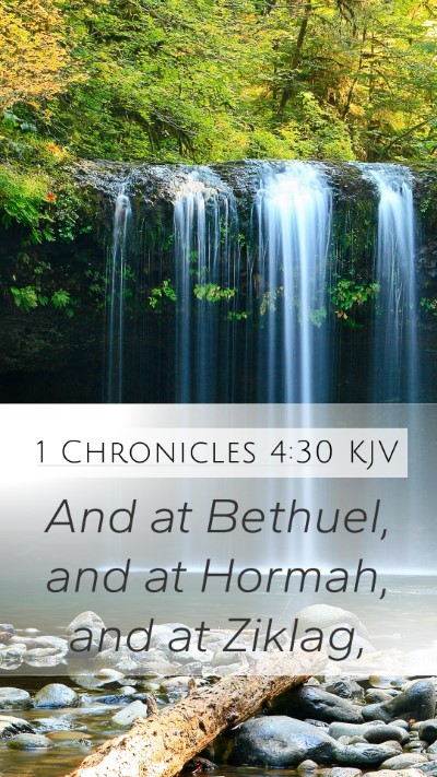 1 Chronicles 4:30 KJV Bible Verse Image